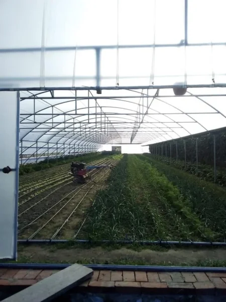 Tirane, ofroj Ndertim Serash,Kalceto,Kapanone,Kontruksione te Ndryshme metalike