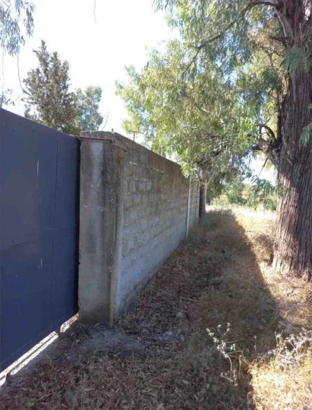 Fier, shes toke , 3.000 m² 50.000 € (afer fabrikes se tullave)