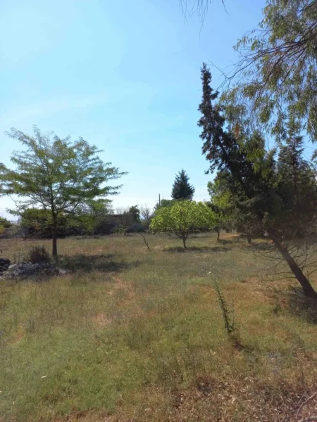 Fier, shes toke , 3.000 m² 50.000 € (afer fabrikes se tullave)