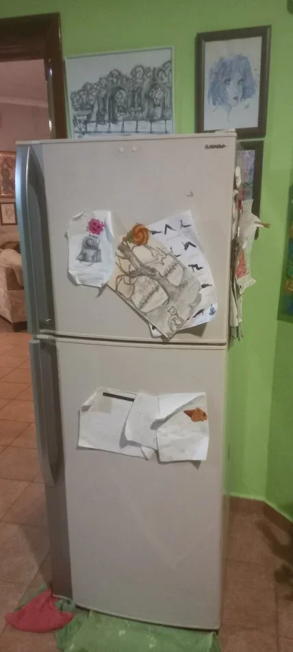 Tirane, shes Frigorifer Frigorifer shtepiak