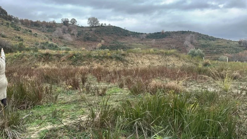 Vlore, shes toke , 2.250 m² 225.000 € (Rradhime)