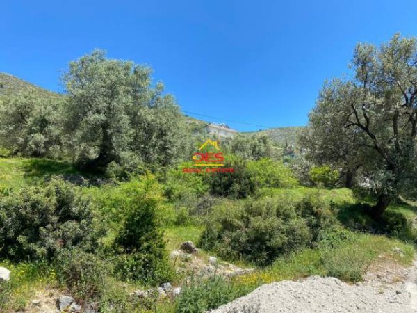 Sarande, shes toke bujqesore 1.000 m² 125.000