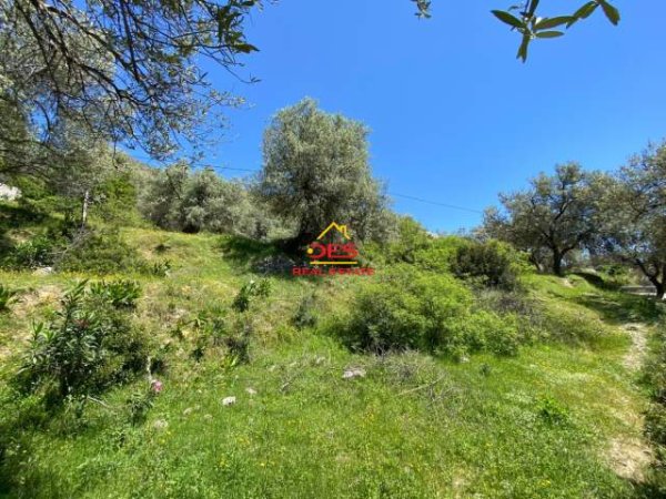 Sarande, shes toke bujqesore 1.000 m² 125.000