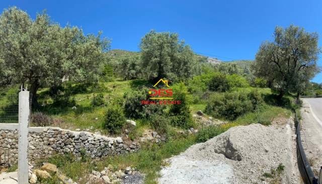 Sarande, shes toke bujqesore 1.000 m² 125.000