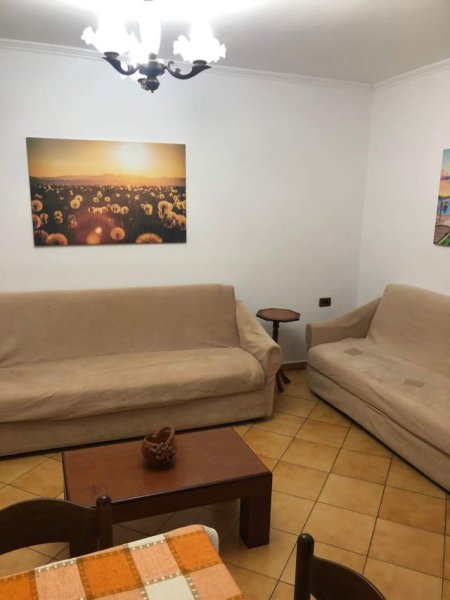 Tirane, jepet me qera apartament 1+1 Kati 1, 65 m² 300 Euro (Prane shkolles Ali Demi)
