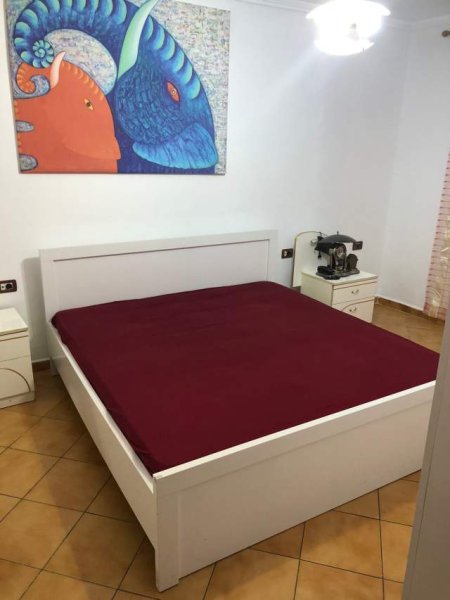 Tirane, jepet me qera apartament 1+1 Kati 1, 65 m² 300 Euro (Prane shkolles Ali Demi)