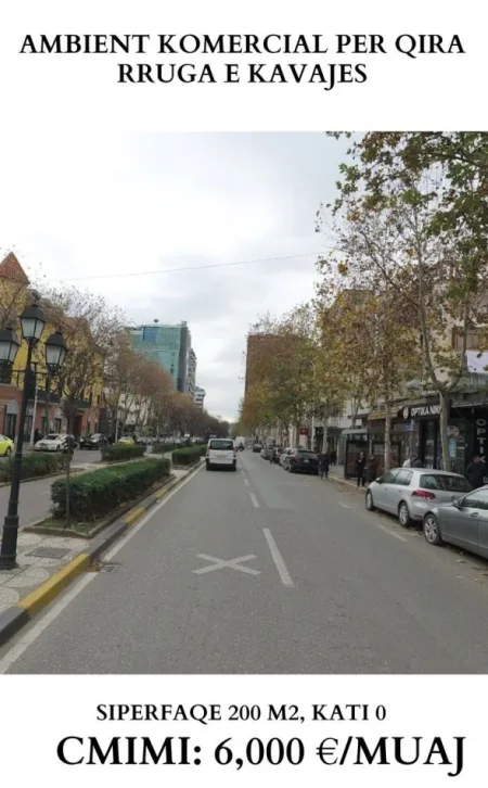 Tirane, jepet me qera ambjent biznesi Kati 0, 200 m² 5500 € (rruga e kavajes)