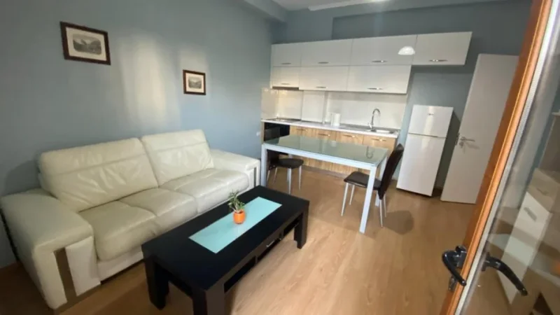Tirane, jepet me qera apartament 1+1 Kati 2, 50 m² 450 € (Ali Demi)