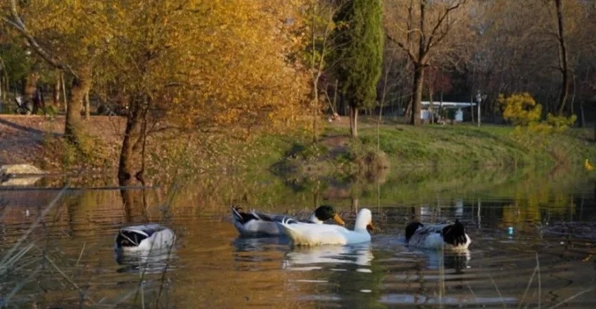 Jepet apartament 2+1+2 me qira prane Liqenit te Tiranes,Kati 4, 140 m² 730 € (Hamdi Sina)