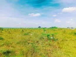 Shitet Toke ,ne Mullet 3.000 m² 180.000 €