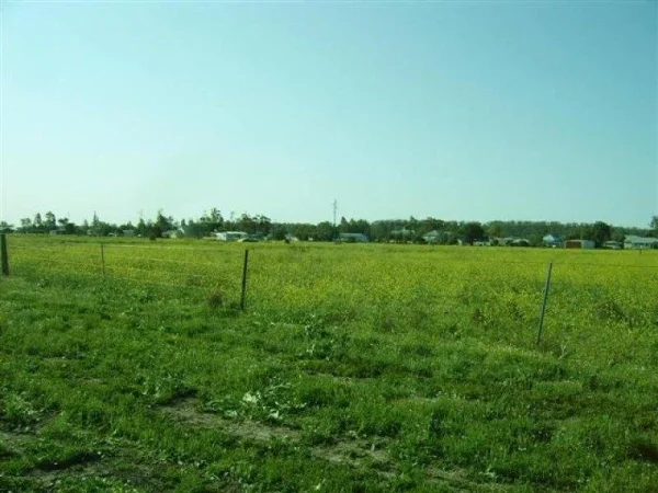 Shitet Toke , 8.200 m² ne Mullet  450.000 €