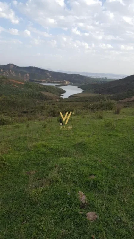 Tirane, shitet toke , 22.200 m² 555.000 € (KAMEZ)