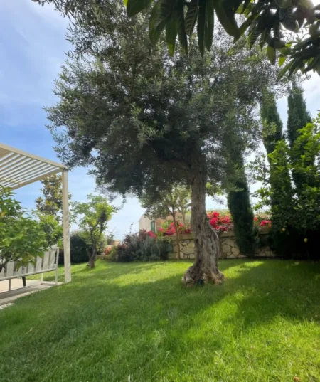 Dhermi - Palase, shitet apartament 2+1+Ballkon Kati 1, 81 m² 699.000 € (Dhermi, PALASE)