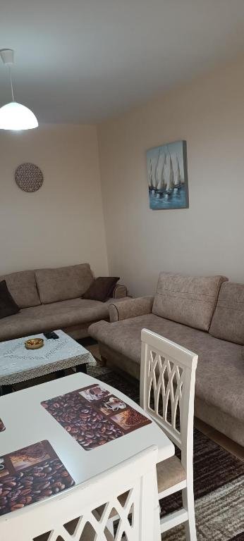 Tirane, jepet me qera 1+1 Kati 1, 55 m² 650 € (rruga naim frasheri)