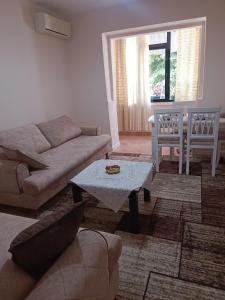 Tirane, jepet me qera 1+1 Kati 1, 55 m² 650 € (rruga naim frasheri)