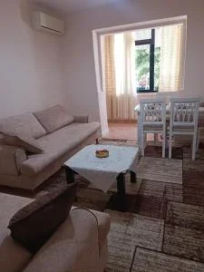 Tirane, jepet me qera 1+1 Kati 1, 55 m² 650 € (rruga naim frasheri)
