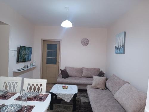 Tirane, jepet me qera 1+1 Kati 1, 55 m² 650 € (rruga naim frasheri)