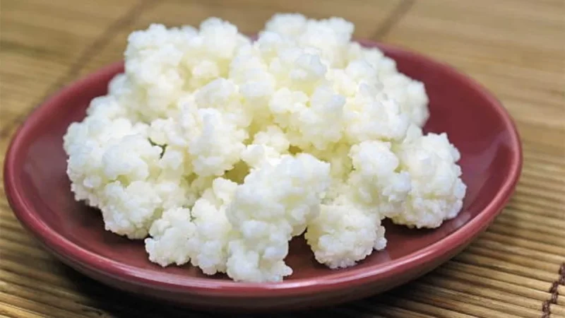 Tirane, shes Kerpudha Kefiri 10 €