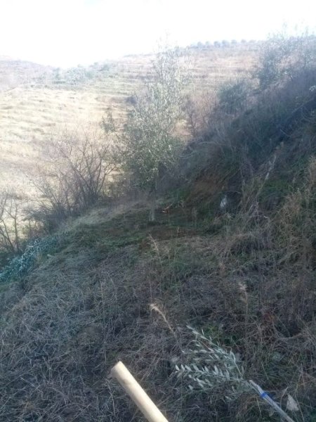 Berat, shitet shtepi 1+1 Kati 1, 70 m² 72.000 € (Shiten Okazion Shtepia dhe Tokat ne Uznove)