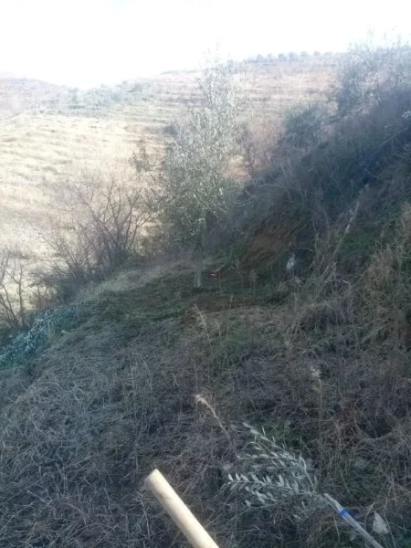 Berat, shitet shtepi 1+1 Kati 1, 70 m² 72.000 € (Shiten Okazion Shtepia dhe Tokat ne Uznove)