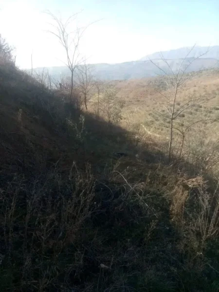 Berat, shitet shtepi 1+1 Kati 1, 70 m² 72.000 € (Shiten Okazion Shtepia dhe Tokat ne Uznove)