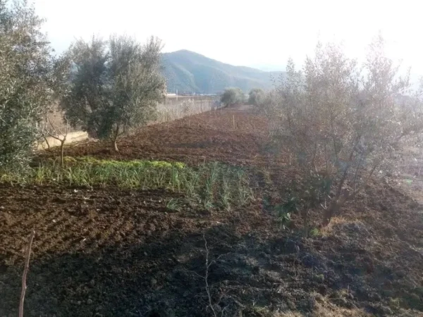 Berat, shitet shtepi 1+1 Kati 1, 70 m² 72.000 € (Shiten Okazion Shtepia dhe Tokat ne Uznove)