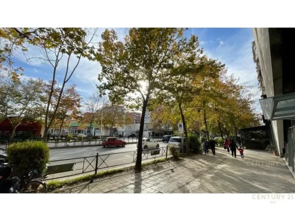 Tirane, shes ambjent biznesi Kati 0, 341 m² 750.000 € (Rruga e Kavajes)