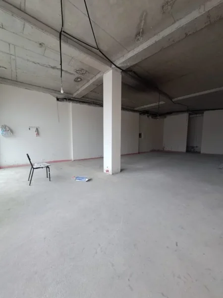 AMBJENT KOMERCIAL, DYQAN ME QERA NE LAKE VIEW RESIDENCE