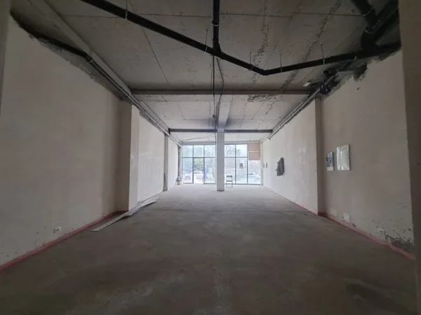 AMBJENT KOMERCIAL, DYQAN ME QERA NE LAKE VIEW RESIDENCE