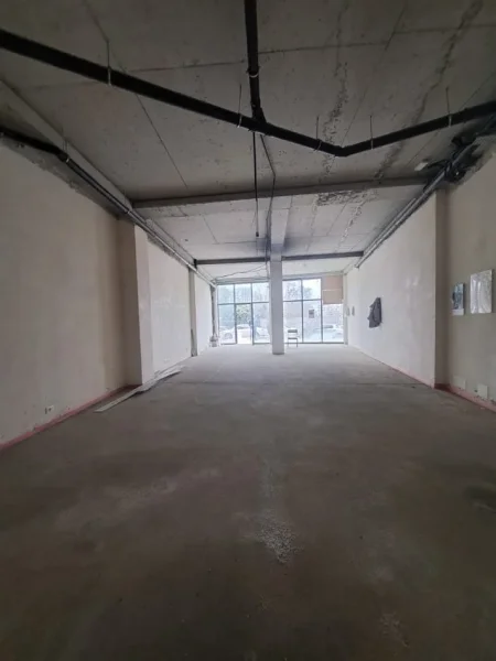 AMBJENT KOMERCIAL, DYQAN ME QERA NE LAKE VIEW RESIDENCE