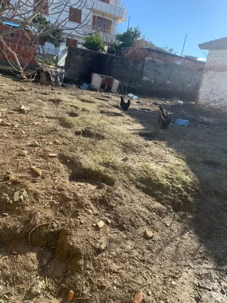 Durres Plazh, shitet shtepi 1 Katshe Kati 1, 70 m² 55.000 € (Aparaj)