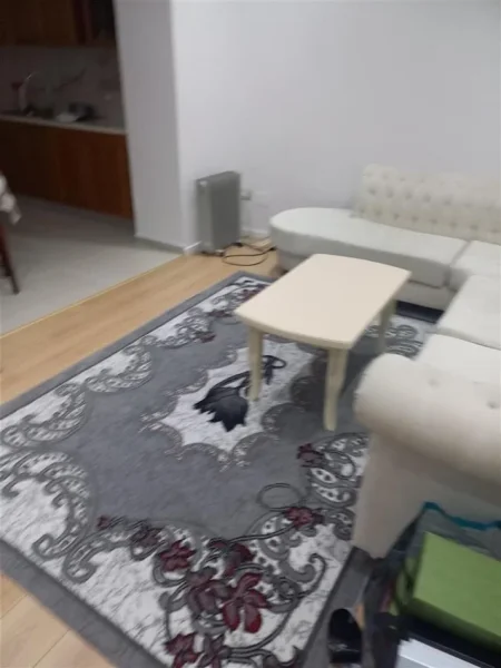 Tirane, jepet me qera apartament 2+1+Ballkon Kati 1, 75 m² 370 € (ALI DEMI)