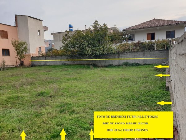 Tirane, Shitet Truall , sipërfaqe 500 m², Cmimi  55'000 € , në krahun e djathtë të Autostradës Tiranë-Durrës, në rrugën dytësore drejtimi i QTU-së, me kthim djathtas tek Skoda & Porsche Albania, rrethe 500m larg, ose 250m mbrapa mobileri Ardenos, Fushë-Mëzes Tiranë