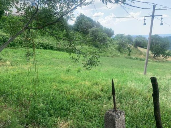 Tirane, shes truall 1.000 m² 45.000 Euro (Lana Bregas)