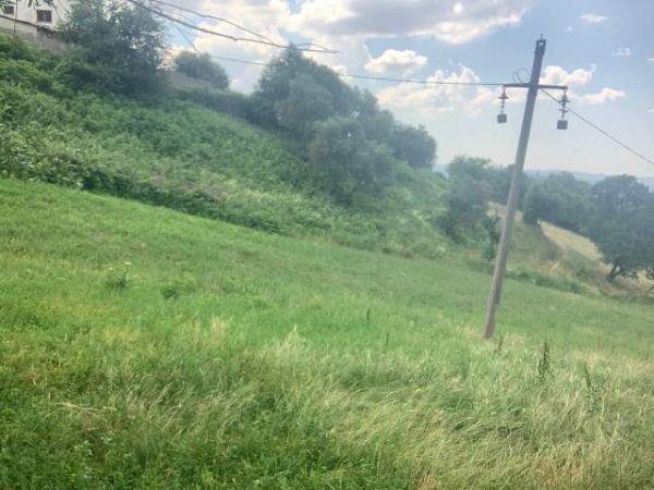 Tirane, shes truall 1.000 m² 45.000 Euro (Lana Bregas)