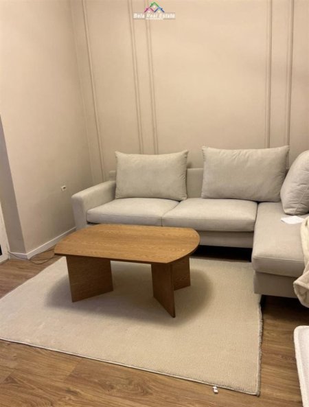 Tirane, jepet me qera apartament 1+1+Ballkon Kati 1, 65 m² 550 € (RRUGA E ELBASANIT)