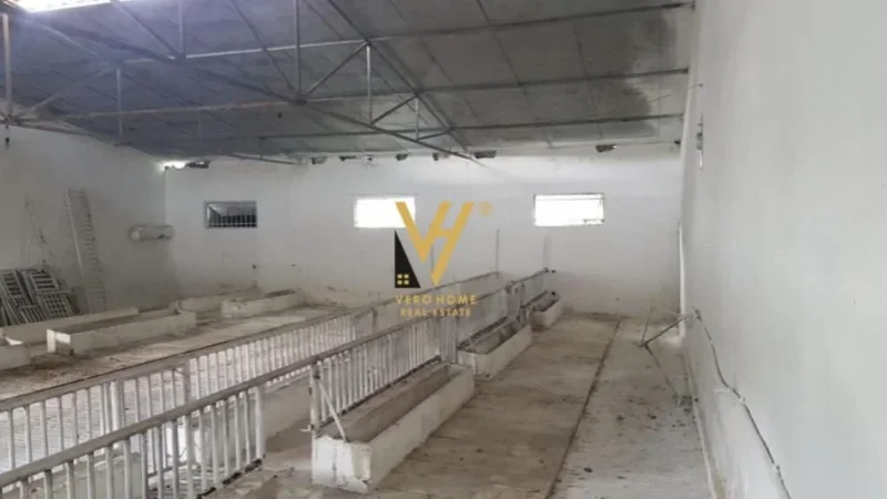 Tirane, shitet ambjent biznesi Kati 0, 1.400 m² 300.000 € (BALDUSHK)