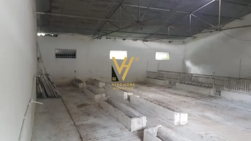 Tirane, shitet ambjent biznesi Kati 0, 1.400 m² 300.000 € (BALDUSHK)