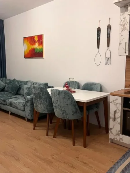 Tirane, jepet me qera apartament 1+1 Kati 2, 60 m² 600 € (Selit)
