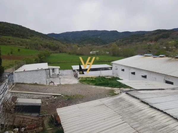 Tirane, jepet me qera ambjent biznesi Kati 0, 2.000 m² 1.600 € (BALDUSHK)