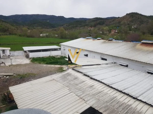 Tirane, jepet me qera ambjent biznesi Kati 0, 2.000 m² 1.600 € (BALDUSHK)