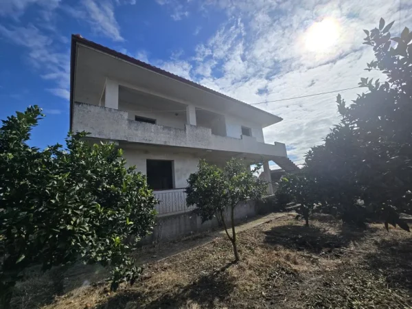 Fier, shes Vile 2 Katshe , 257 m² (Sheq i Madh)