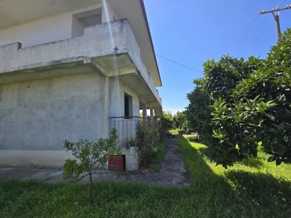 Fier, shes Vile 2 Katshe , 257 m² (Sheq i Madh)