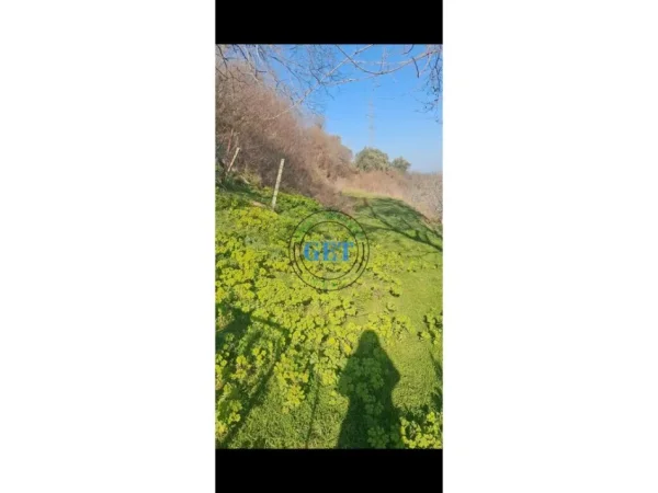 Durres, shitet toke , 40 m² 34.000 €