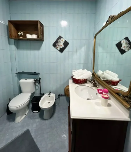 Tirane, jepet me qera apartament 1+1 Kati 0, 50 m² 500 € (Pazari i ri)