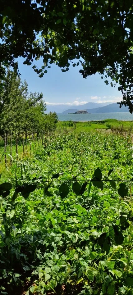 Vacances en famille en Albanie !