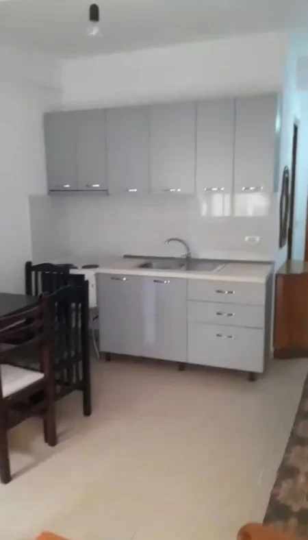 Tirane, jepet me qera apartament 1+1+Ballkon Kati 1, 45 m² 270 € (Rruga Jordan Misja prane Mobileri Mondial)