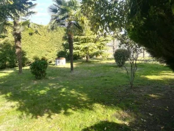 SHIJAK  shes Restorant ambjent biznesi 2 kate, 1.800 m² 1.250.000 Euro (Shijak)