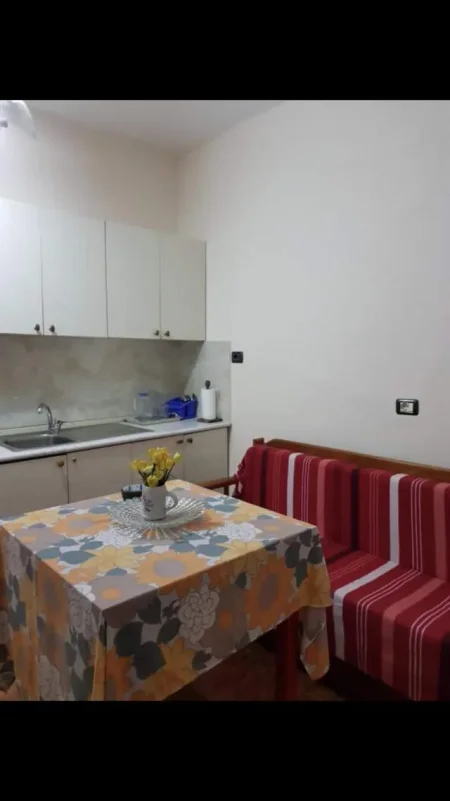 Tirane, jap me qera apartament 1+1 Kati 2, 60 m² 300 euro  (Rr. Durresit- Tirane)