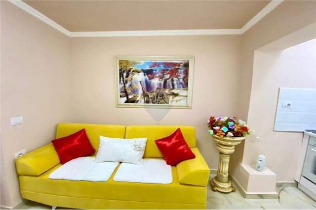 Tirane, jepet me qera apartament 1+1 40 m² 450 Euro (komuna e parisit)